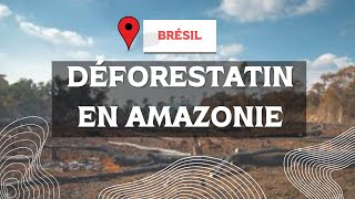 DÉFORESTATION EN AMAZONIE CAUSES CONSÉQUENCES FRANÇA [upl. by Raybourne]