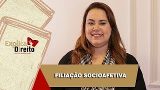 Explica Direito Filiação Socioafetiva  2019 [upl. by Emmott]