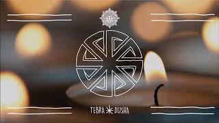 Tebra  Dusha Original Mix Ritual Records [upl. by Eskil226]