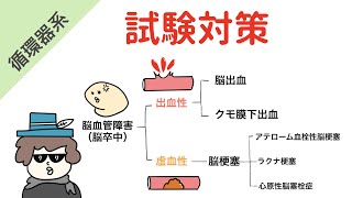 脳血管障害（脳卒中）の分類【試験対策】 [upl. by Desiri]