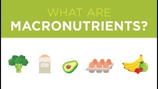 What are Macronutrients [upl. by Yentruocal]