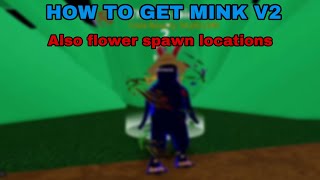 HOW TO GET MINK V2 IN BLOX FRUITS [upl. by Leticia40]