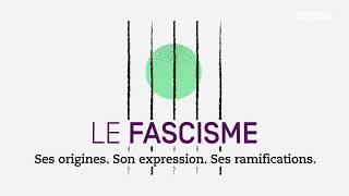 Questce que le fascisme [upl. by Dnilasor]