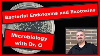 Bacterial Endotoxins and Exotoxins Microbiology [upl. by Cardinal]