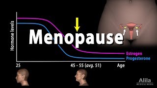 Menopause Perimenopause Symptoms and Management Animation [upl. by Assen526]