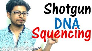 Shotgun sequencing method explained [upl. by Ecnaled]