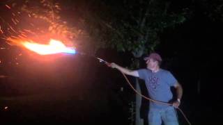 Taking down hornets nest with a flame thrower [upl. by Cobby]