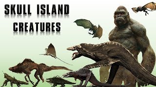 All Creatures of Skull Island Explained [upl. by Kerns318]