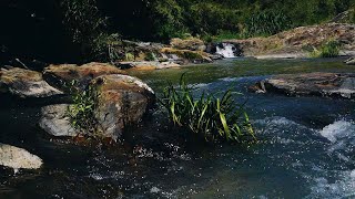 Babbling Brook Sounds  2 Hour Nature Sounds RELAXING RIVER SOUNDS [upl. by Pavior332]