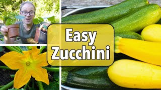 Growing Zucchini Courgettes from Sowing to Harvest [upl. by Lertnom]