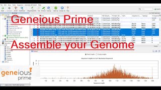 De Novo Genome Assembly using Geneious Prime  Basic Tutorial [upl. by Enilecram683]