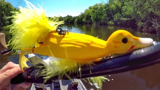 Fishing A Duck Lure For MONSTER Pike [upl. by Bautram]