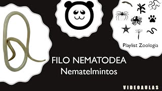 Filo Nematodea Nematelmintos [upl. by Higgs690]