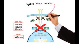 Pharmacology  CANCER DRUGS – CELL CYCLE INHIBITORS MADE EASY [upl. by Naylor]