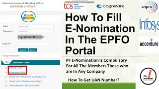 How To File e nomination In The EPFO Portal Online How to Activate UAN NumberHow to Add Nominee [upl. by Travers785]