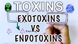 Overview of Toxins  Exotoxins Vs Endotoxins [upl. by Dichy]