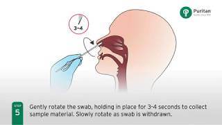 Panbio™ COVID 19 Ag Nasal Swab Procedure Live Action [upl. by Refotsirk]