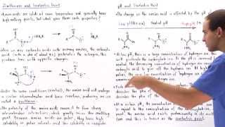 Zwitterion Form of Amino Acids [upl. by Dan]