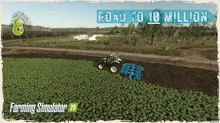 IS OILSEED RADISH REALLY WORTH IT  Farming Simulator 25  Zielonka  EP08 [upl. by Raynard]