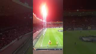 Wolverhampton wanderers light show at molineux [upl. by Naehs]