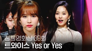 러블리한 트와이스TWICE의 역대급 축하무대lovely stage Yes or Yes’  제39회 청룡영화상  SBS ENTER [upl. by Ihab]