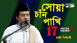 সোয়া চাঁন পাখি  Shua Chan Pakhi  Bari Siddiqui  Channel i  IAV [upl. by Camilo843]