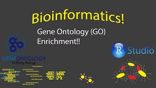 Bioinformatics  Gene Ontology GO Enrichment Analysis [upl. by Friedrich581]