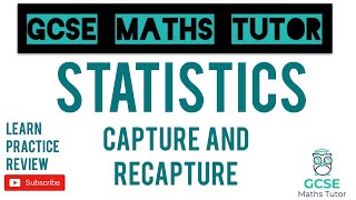 Capture and Recapture  Grade 6 Series  GCSE Maths Tutor [upl. by Donnell]