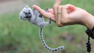 10 Cutest Exotic Animals In The World [upl. by Alleirbag]