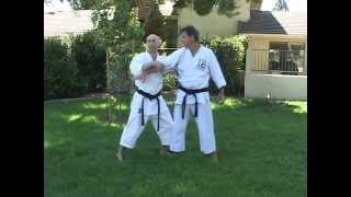 Niseishi Bunkai Analysis [upl. by Firman]