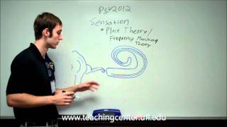 Place Theory and Frequency Matching Theory [upl. by Teik]