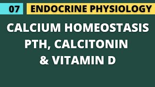 07 CALCIUM HOMEOSTASIS  PARATHYROID HORMONE CALCITONIN VITAMIN D  ENDOCRINE PHYSIOLOGY [upl. by Gazo947]