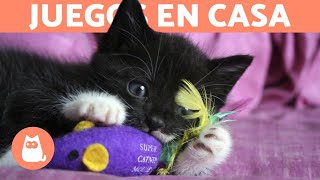 5 JUEGOS para ENTRETENER a tu GATO en CASA 🐱 [upl. by Baelbeer395]