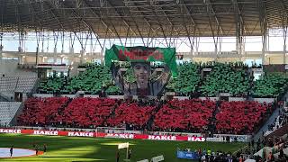 AMEDSPOR  sakaryaspor Kareografi Barikat Kareografi [upl. by Ofella]