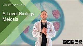 Meiosis and chromosome mutation  A Level Biology [upl. by Lotsirb]