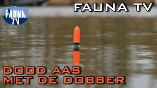 Fauna TV  Snoeken met dood aas onder de dobber [upl. by Susana268]