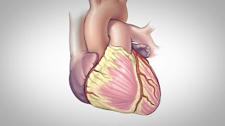 Cardiothoracic Surgeon Salary [upl. by Salter49]