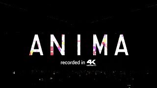 Martin Garrix Presents ANIMA Live  Amsterdam RAI 2018 [upl. by Payson]