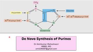 Purine Biosynthesis De Novo  Biochemistry  Molecular Biology [upl. by Iclek]