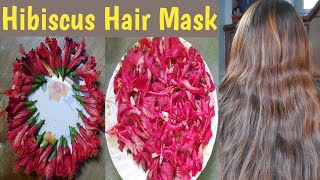 Hibiscus hair mask for extreme hair growthStrong HairDiy antihairfall Hibiscus MaskHomemade mask [upl. by Aretahs722]