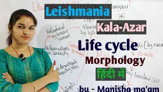 Leishmania Donovani  life cycle  Morphology  Parasitology By Manisha Maam [upl. by Aniuqahs]