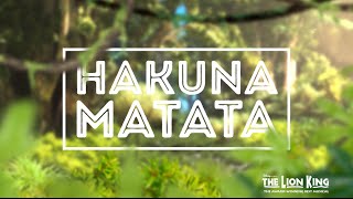 Hakuna Matata  Disneys THE LION KING Official Lyric Video [upl. by Aserret]