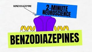 2Minute Neuroscience Benzodiazepines [upl. by Giulia]