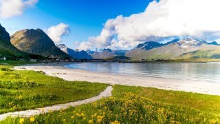 Uplifting Music  light positive happy music Gullrosøya  1 hour [upl. by Verras]