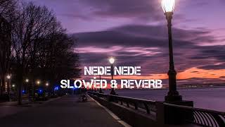 NEDE NEDE SONG  SLOWED amp REVERB [upl. by Bakeman546]