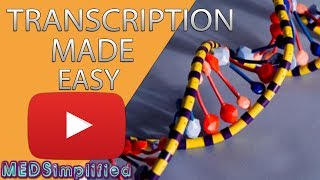 Transcription Made Easy From DNA to RNA 2019 [upl. by Imelida153]