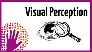 Visual Perception – How It Works [upl. by Kirchner365]