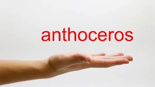 How to Pronounce anthoceros  American English [upl. by Inamik658]