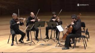 Franz Schubert String Quintet in C Major D 956 [upl. by Nereus569]