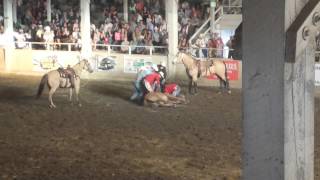 Horse breaks neck in rodeo [upl. by Arita]